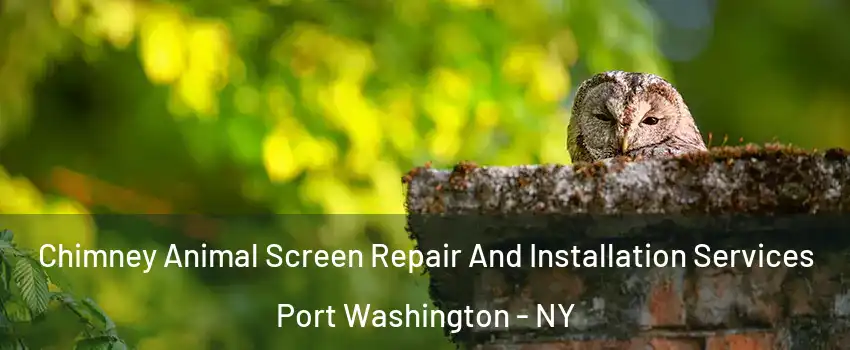  Chimney Animal Screen Repair And Installation Services Port Washington - NY