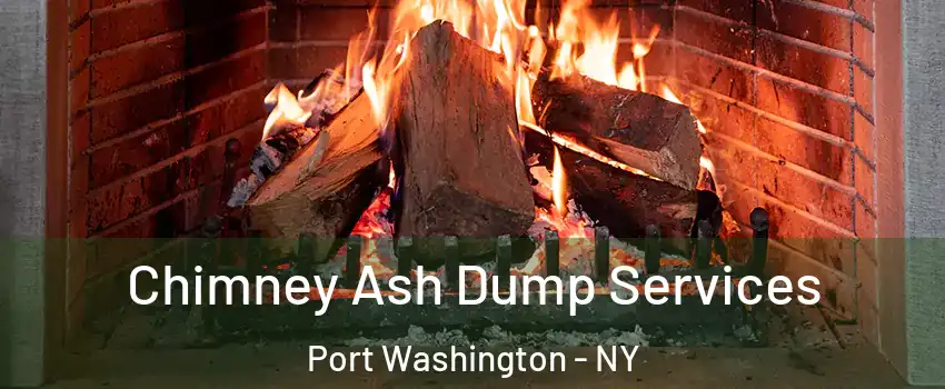 Chimney Ash Dump Services Port Washington - NY