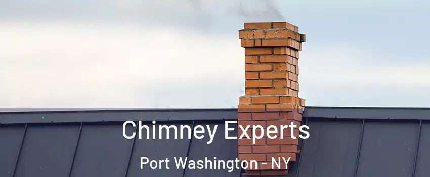  Chimney Experts Port Washington - NY