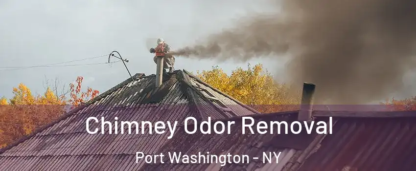 Chimney Odor Removal Port Washington - NY