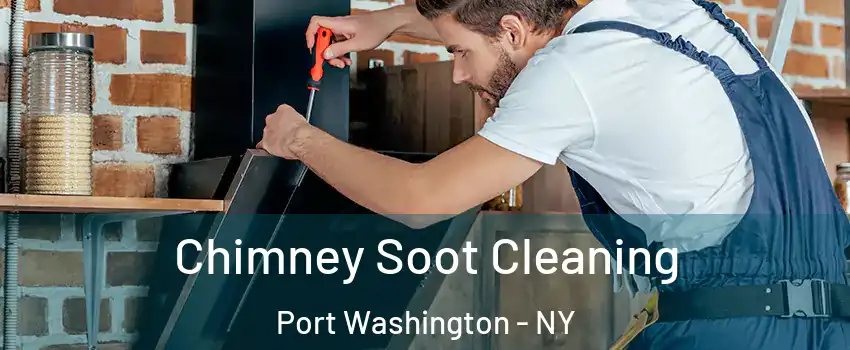 Chimney Soot Cleaning Port Washington - NY