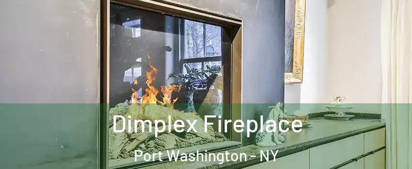  Dimplex Fireplace Port Washington - NY