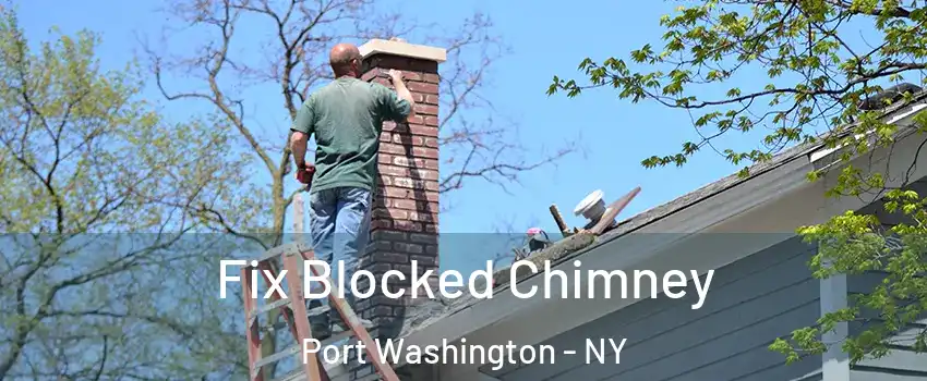  Fix Blocked Chimney Port Washington - NY