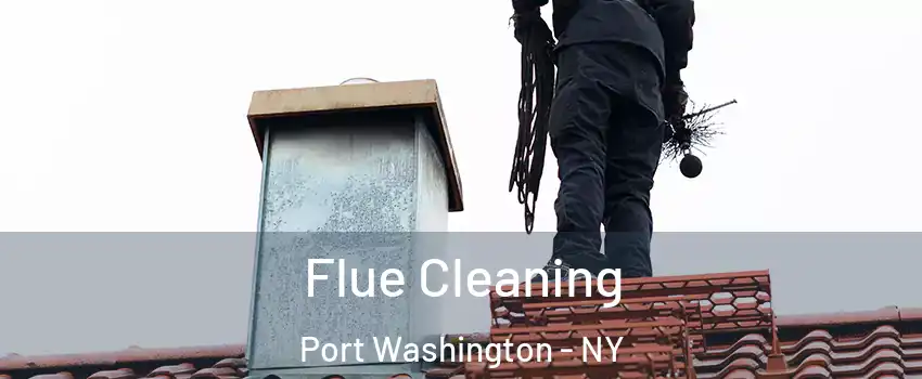  Flue Cleaning Port Washington - NY