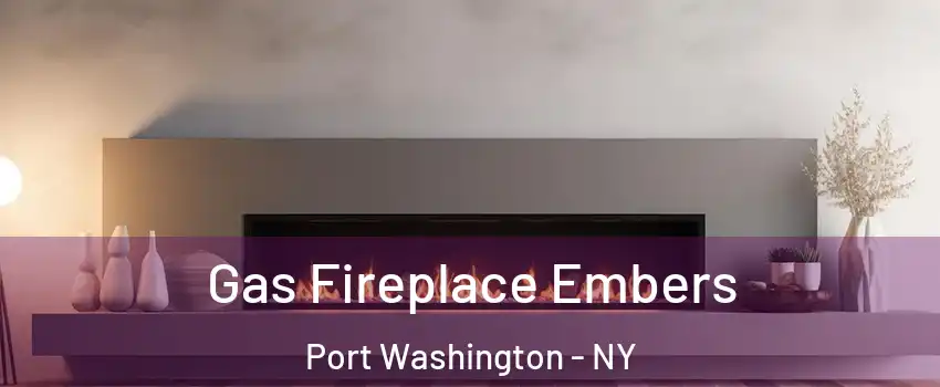  Gas Fireplace Embers Port Washington - NY