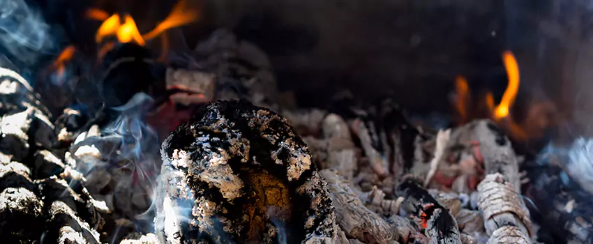 Creosote Removal Experts in Port Washington, NY