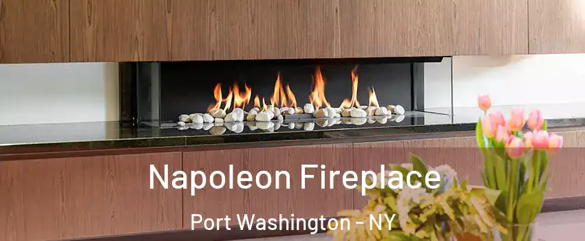  Napoleon Fireplace Port Washington - NY